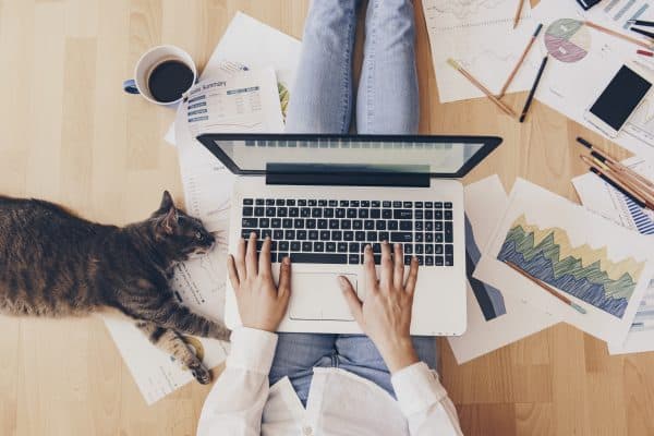 start a blog at midlife+computer cat
