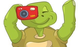 iPhone camera tips+turtle-camera-featured.jpg