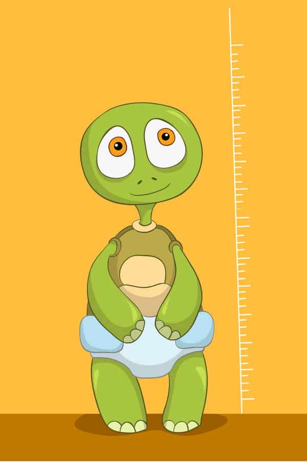 Techie Turtle's take on iOS 12 and 12.1+measure