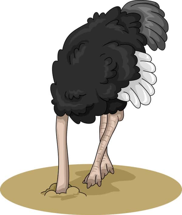 successful aging and dementia+ostrich