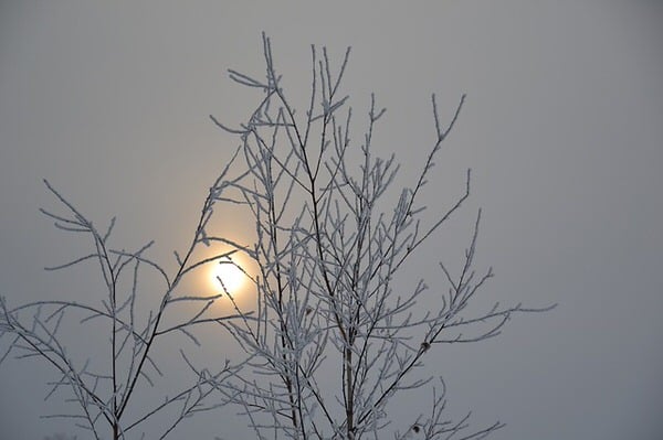 SAD and menopause+grey-sky-bare-trees