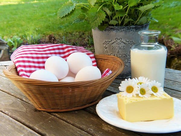 osteoporosis+dairy-products