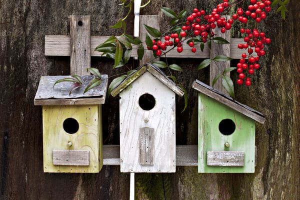 humor amid stress+birdhouses