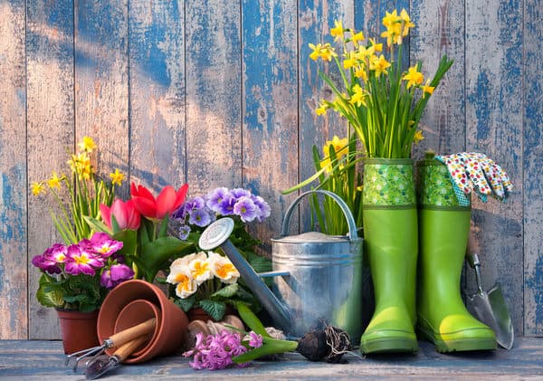 garden for health+boots