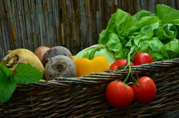 garden for health+vegetables