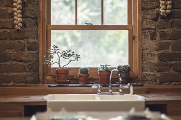 key to aging in place+kitchen-sink-cactus