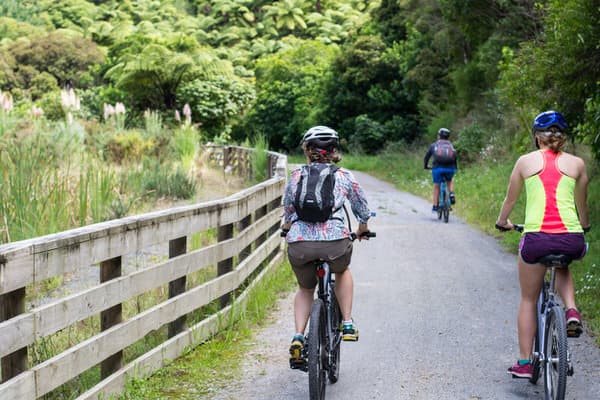 simple steps to prevent falls+cycling-exercise
