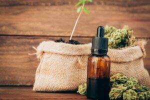 selecting medical marijuana+cannabis-tincture