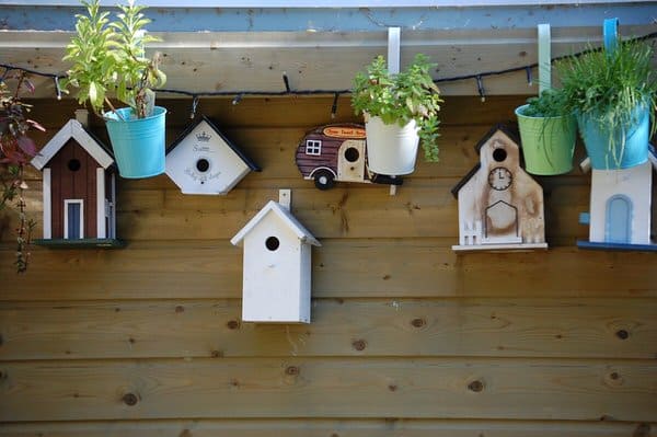 tiny house communities+birdhouses