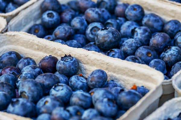 my experience on the MIND diet+blueberries
